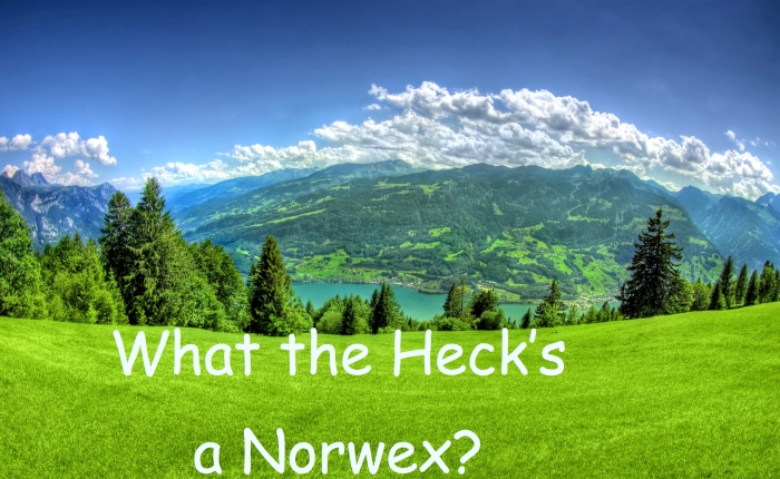 What the Heck’s a Norwex?